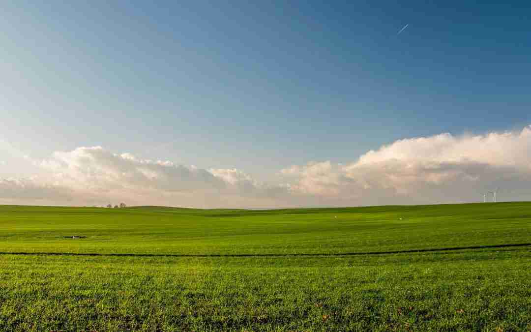 Where Are Preppers Buying Land? Discover The Top Locations