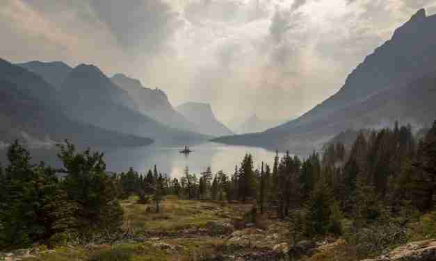 Essential Wilderness Survival Skills: Tips, and Techniques