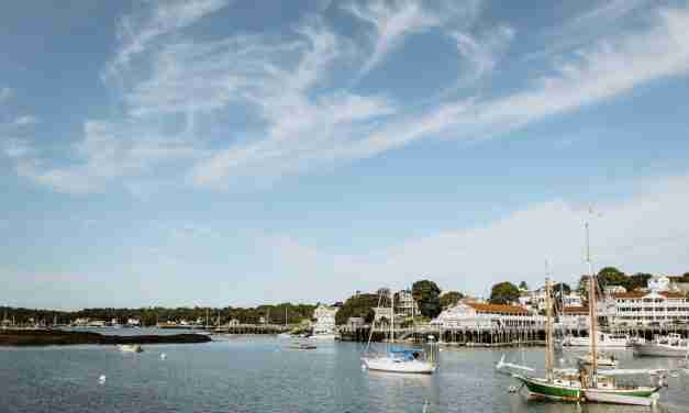 Thriving as a Prepper in Maine: Prepping in the Pine Tree State