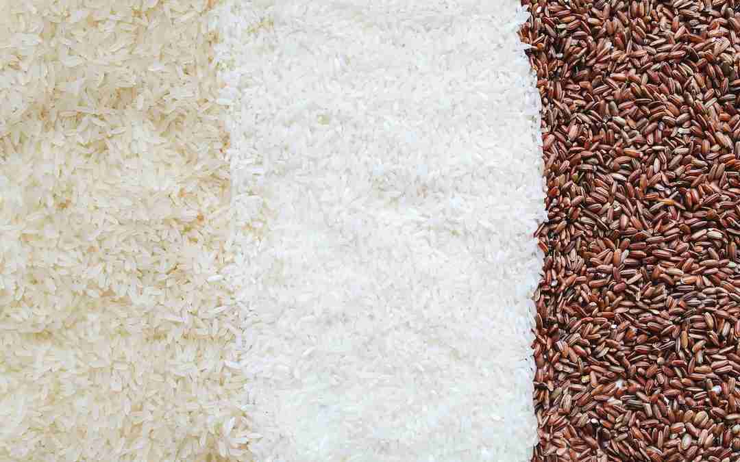 Rice Royalty: Finding the Perfect Rice for Preppers and Long-Term Storage