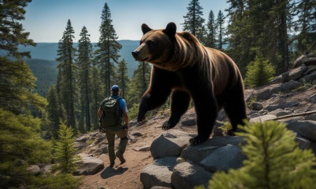 Standing Ground: How Do You Survive a Black Bear Attack?