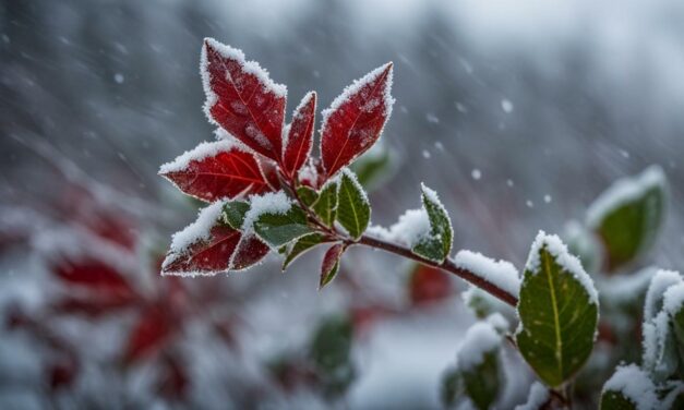 Year-Round Green: What Plant Survives All Seasons?